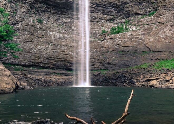 Causes of the ozone layer depletion